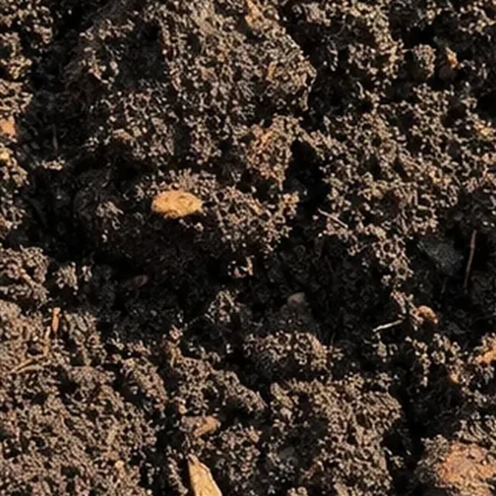 Garden Soil